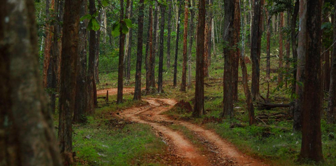 Anshi-National-Park