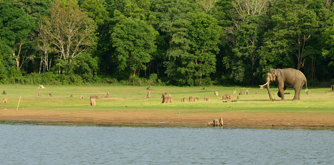 Kabini-National-Park