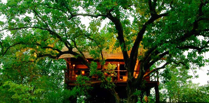 Treehouse-Hideaway,-Bandhav