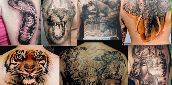 Wildlife Tattoo