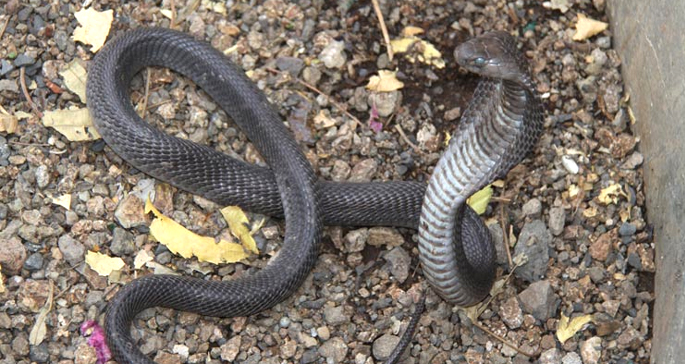 Hingolgadh-Nature-Education