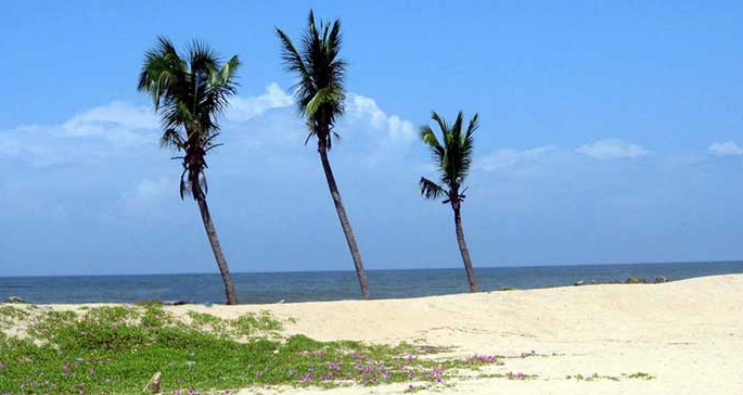 Neendakara-Beach