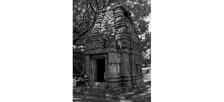 The-Carved-Temple