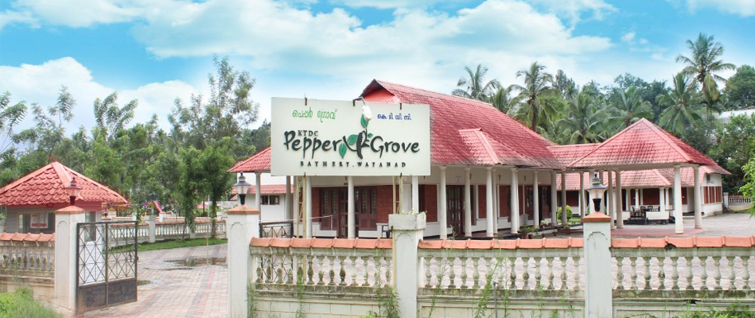 Pepper-Grove,-Wayanad