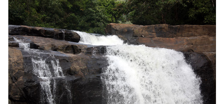 Thodupuzha Kerala