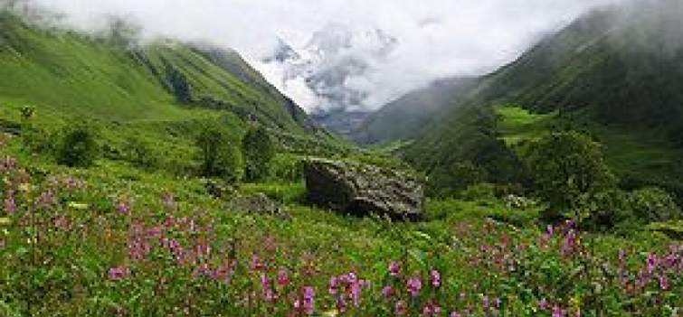 Nanda Devi Biosphere Reserve Uttarakhand
