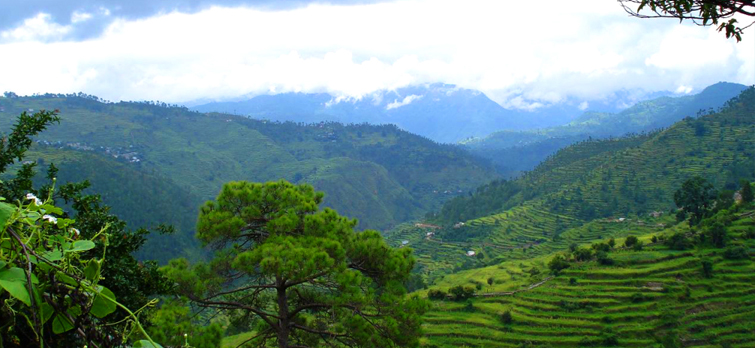 ranikhet