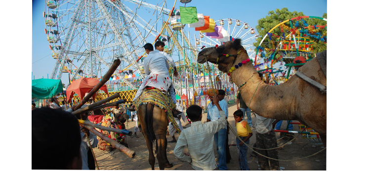 Pushkar Fair, Rajasthan