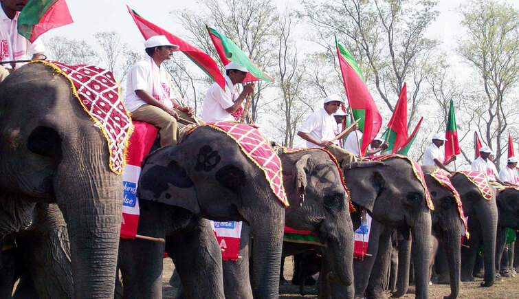 Kaziranga Elephant Festival