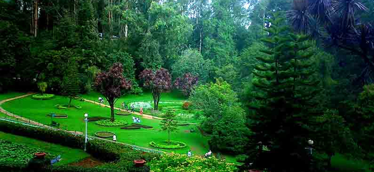 ooty