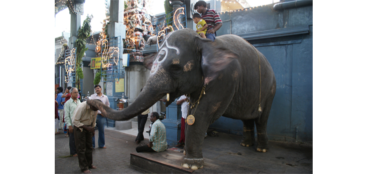 Manakula Vinayagar Temple Pondicherry