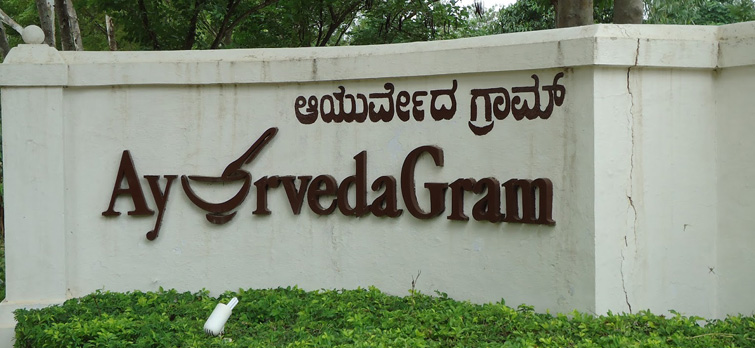 Best Ayurveda Centres in Kerala