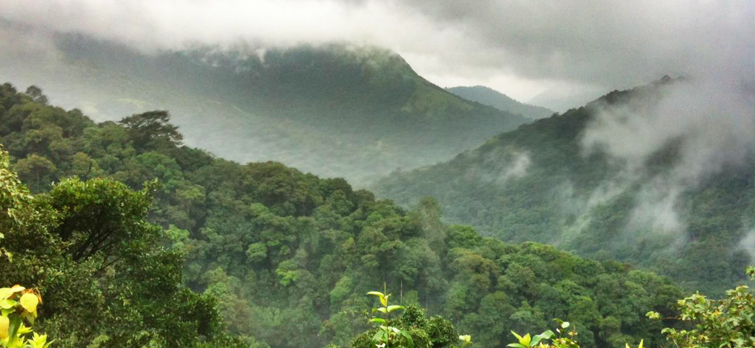 Agumbe