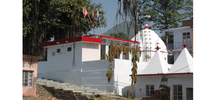 Nahar Singh Dhaulra Manali