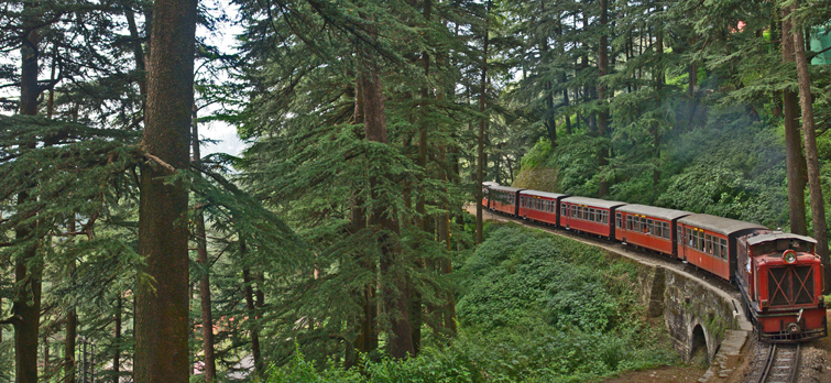 Toy Train Ride Himachal