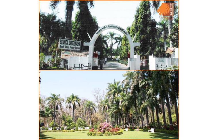 Botanical Garden Saputara-Gujarat