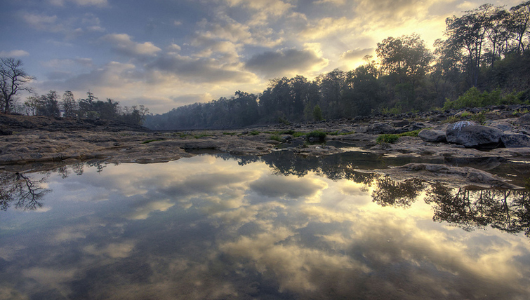 Vansda National Park