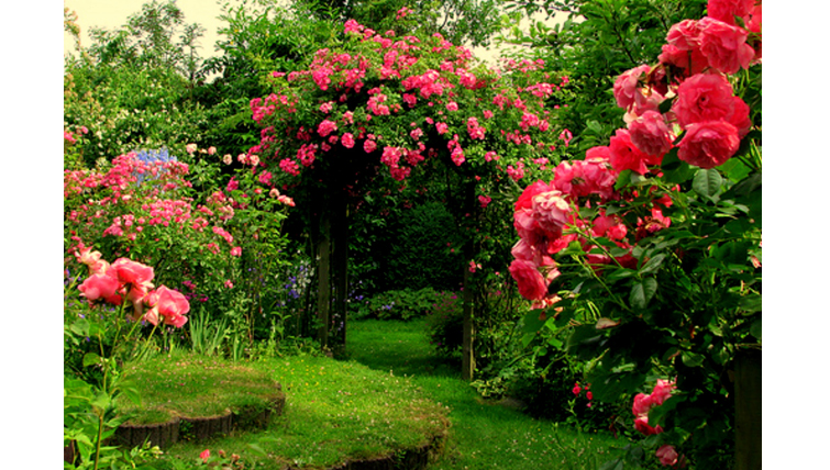 Rose Garden Saputara