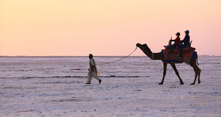 Camel Ride Kutch
