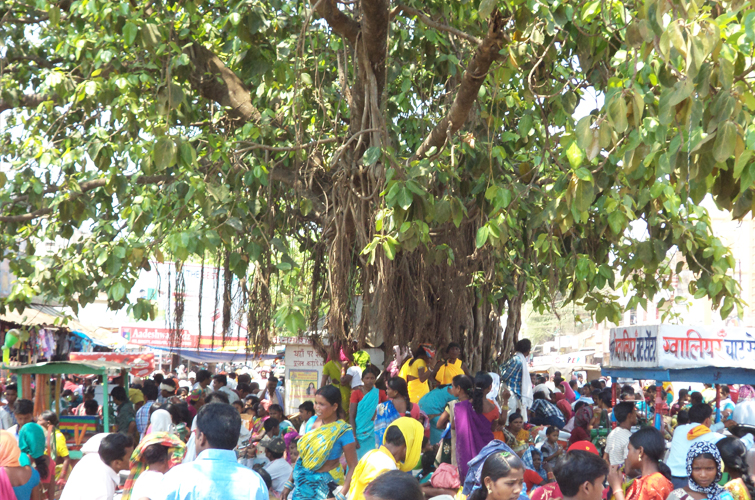 Sanjay Market Jagdalpur Chhattisgarh