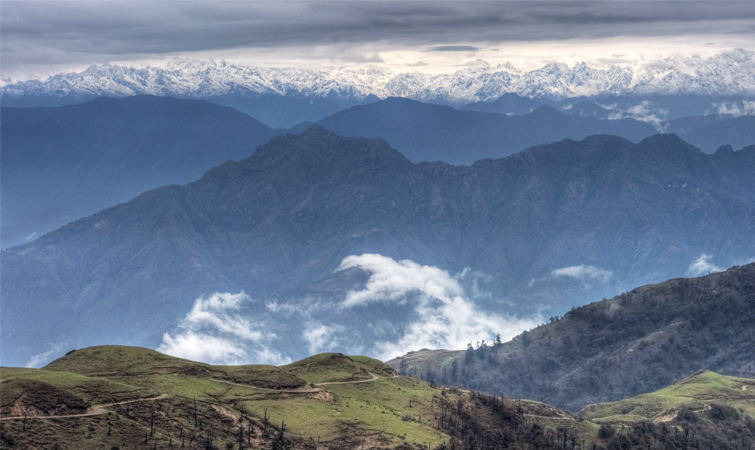 Singalila Ridge Trek