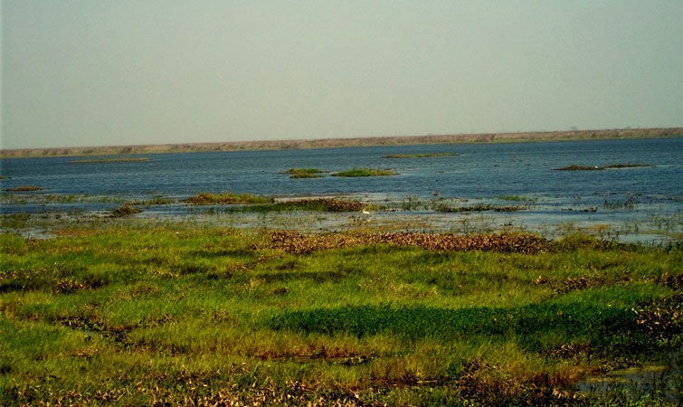 Bakhira Bird Sanctuary