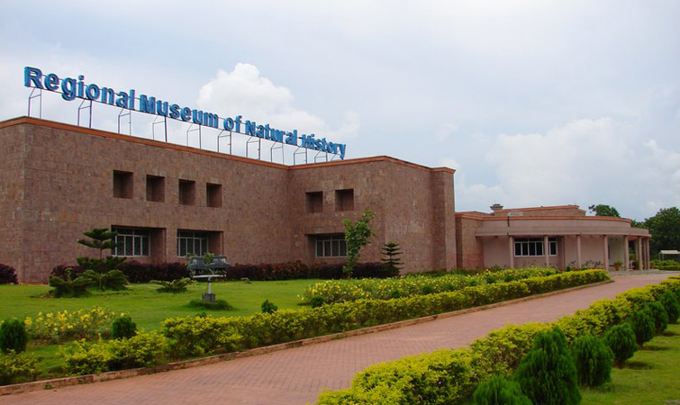 Regional Museum of Natural History, Bhubaneshwar