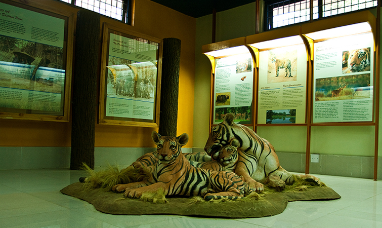 Kanha Museum