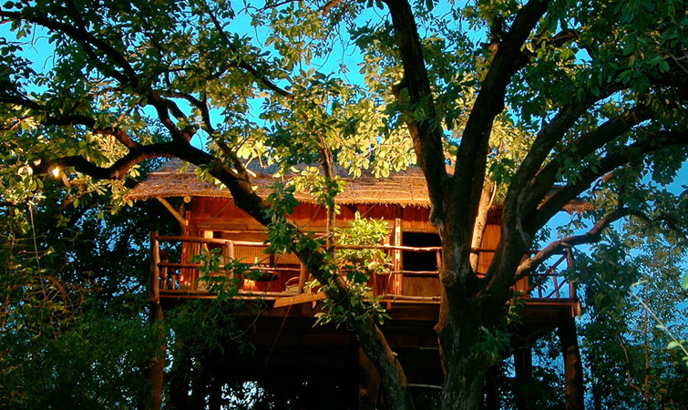 Tree House Hideaway Resort, Bandhavgarh