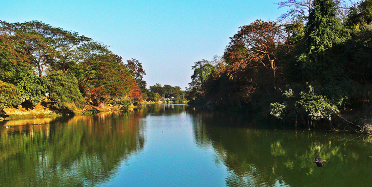Lake in Pobitora Wildlife Sanctuary