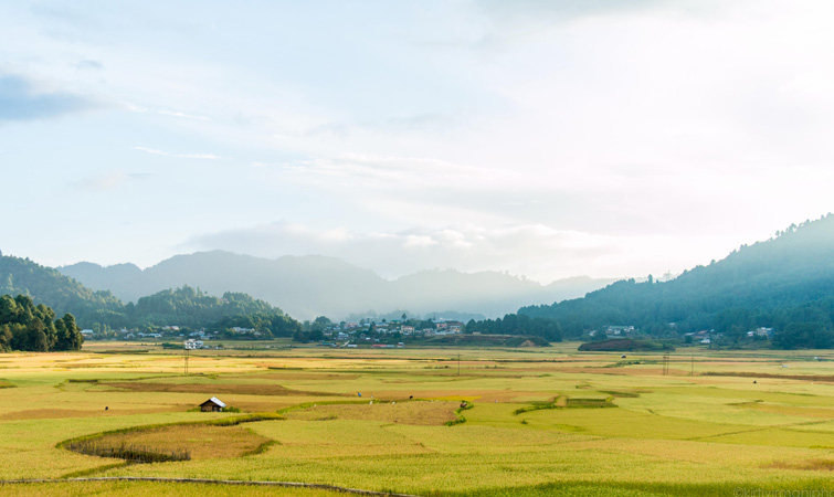 The-Ziro-Valley