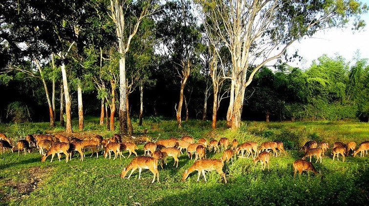 Dandeli Wildlife Sanctuary