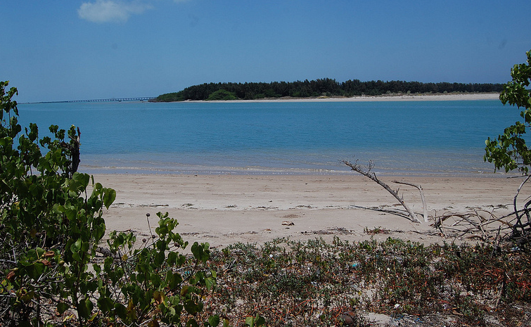 Gulf of Mannar Marine National Park