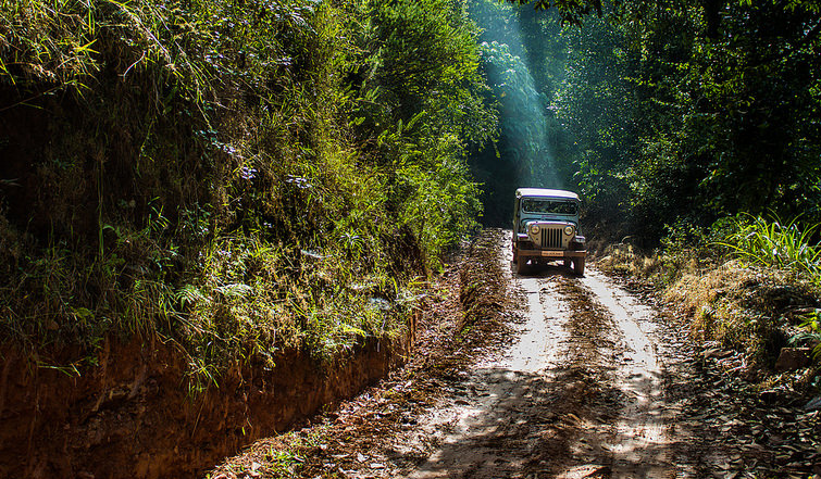 Kudremukh National Park