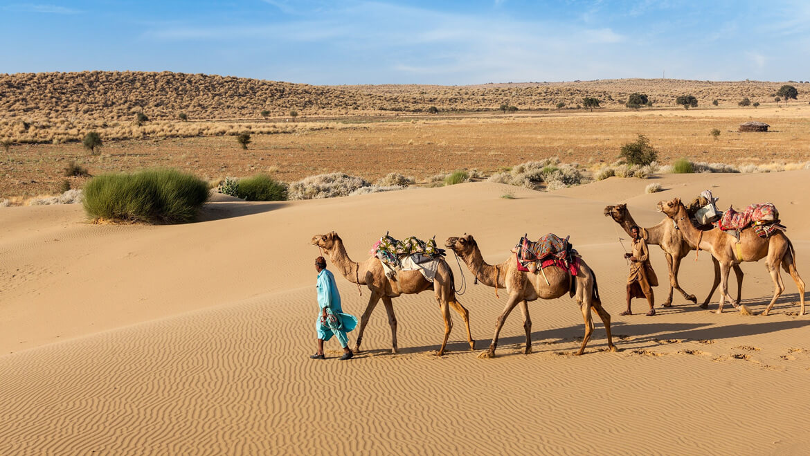 Visual Experience of Rajasthan That You Just Can’t Afford to Miss 