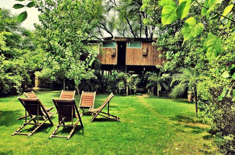 The Tree House Resort