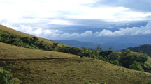 Chikmagalur Weekend Holiday Tour