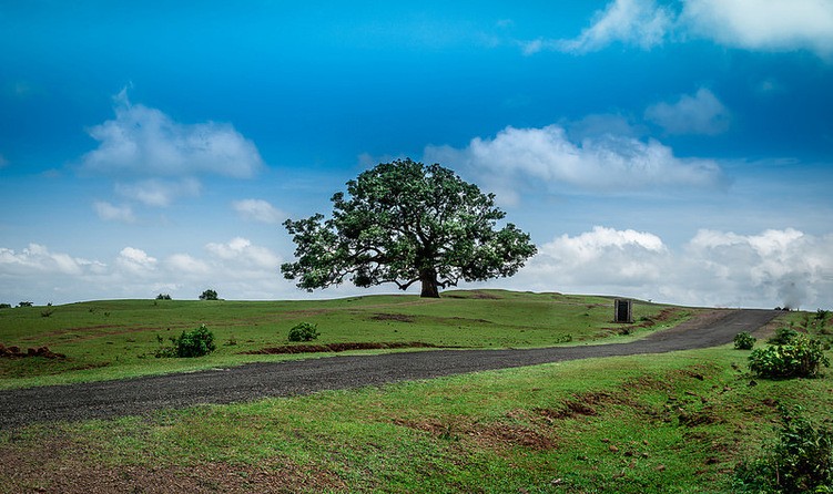 Chikhaldara