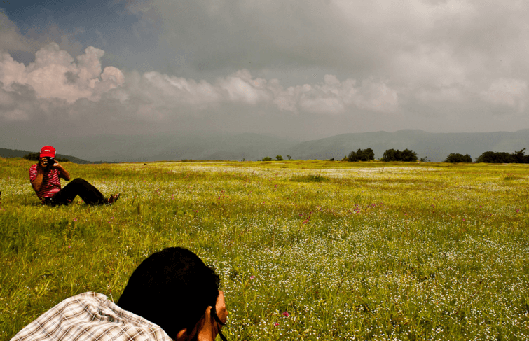 Kaas Plateau