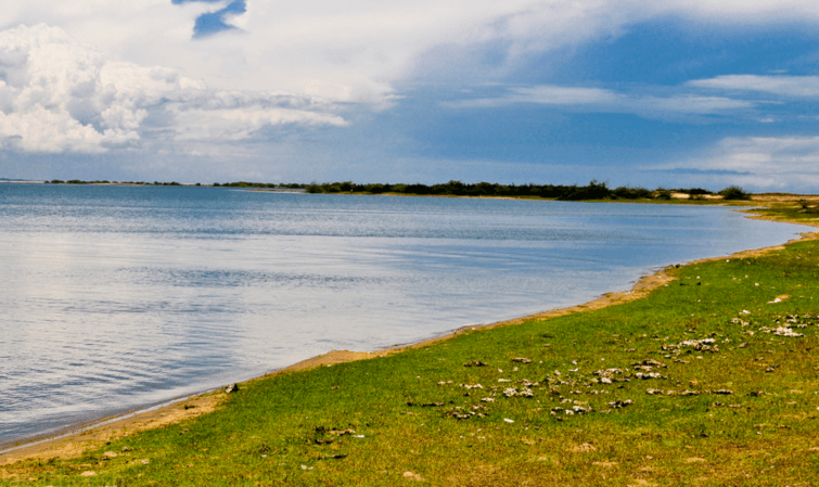 Pulicat Lake