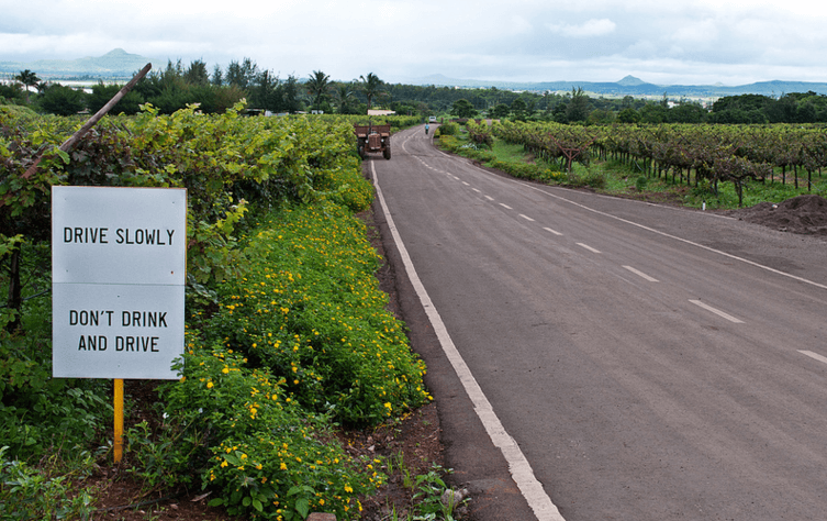 Sula Vineyards