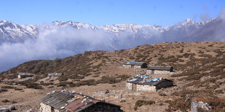 Dzongri Nambu trek
