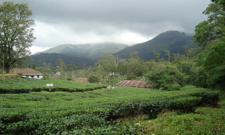 Nelliyampathy Hills