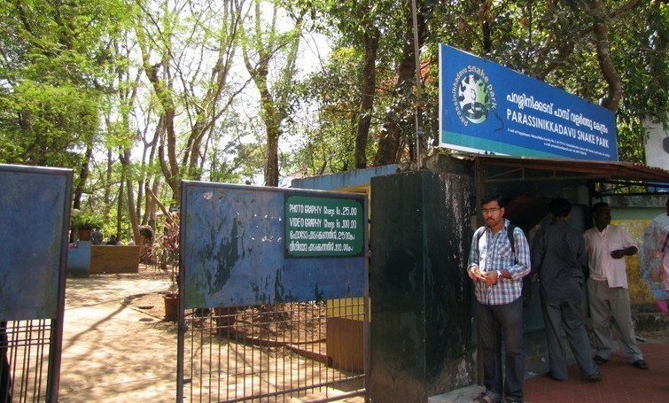 Parassinikadavu Snake Park