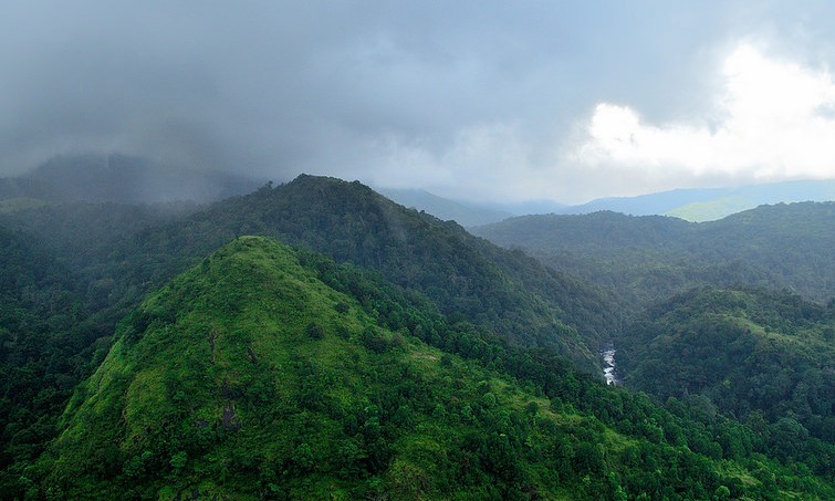 Silent Valley Palakkad