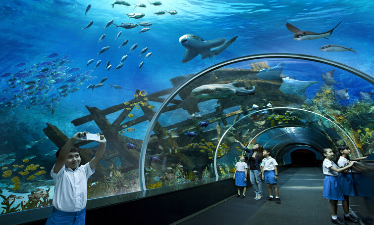 SEA Aquarium, Singapore