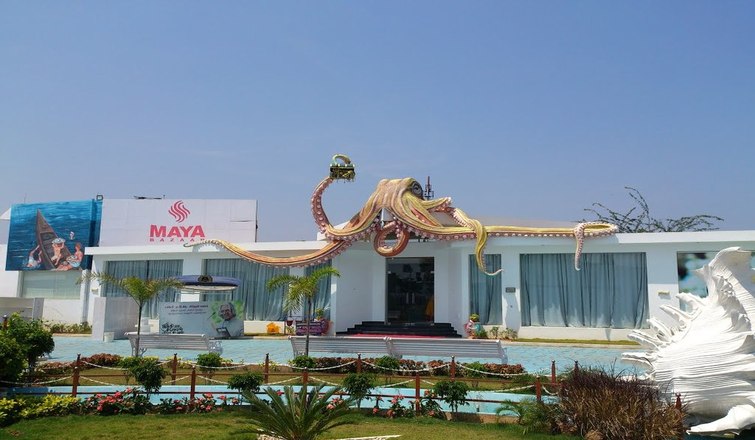 India Seashell Museum