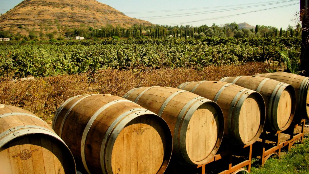 10 Places to Visit in India if You Love Wine 