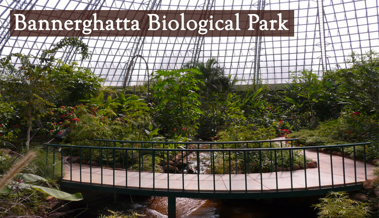 Bannerghatta Biological Park