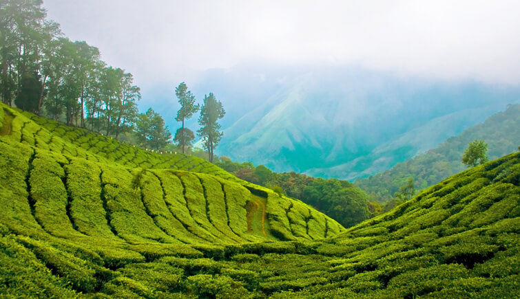 Munnar